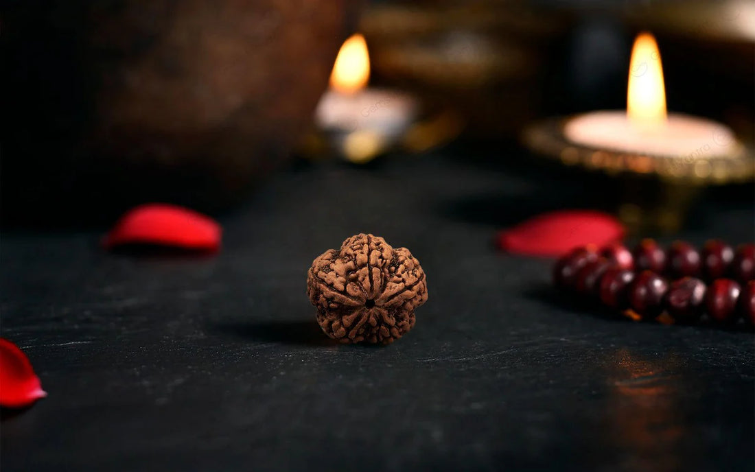FREE Authentic 5 Mukhi Rudraksha Bead | Complimentary Gift with Every Order